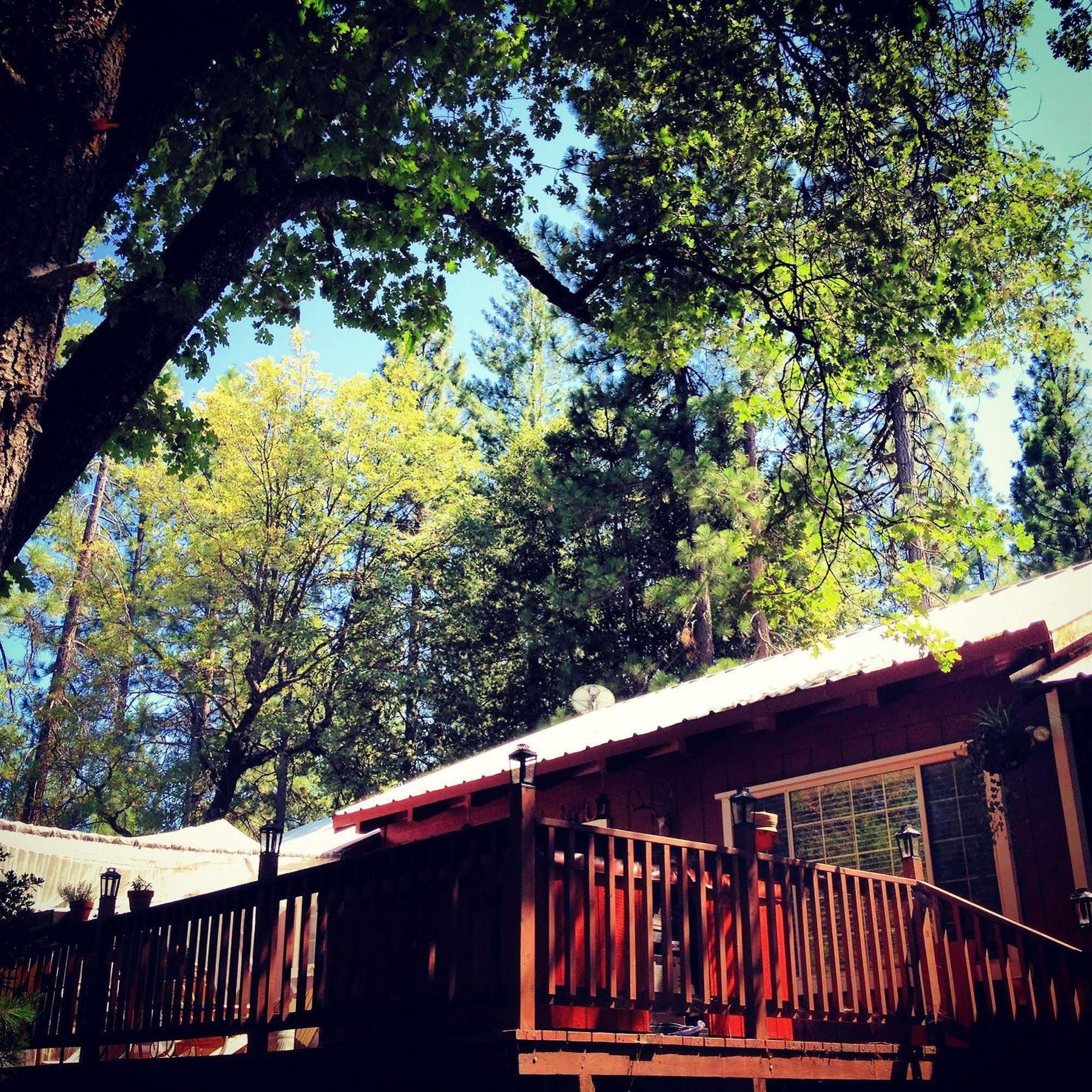 The Red Rooster Lodge Coulterville Exterior foto